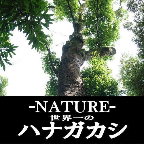 nature_hanagakashi